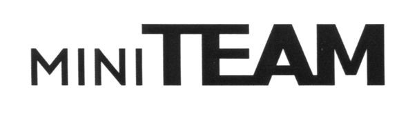 mini team