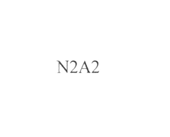 n2a2
