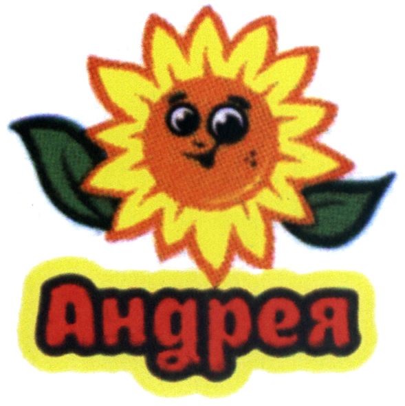 андрея