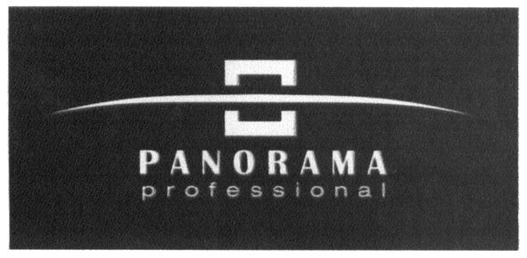 panorama professional