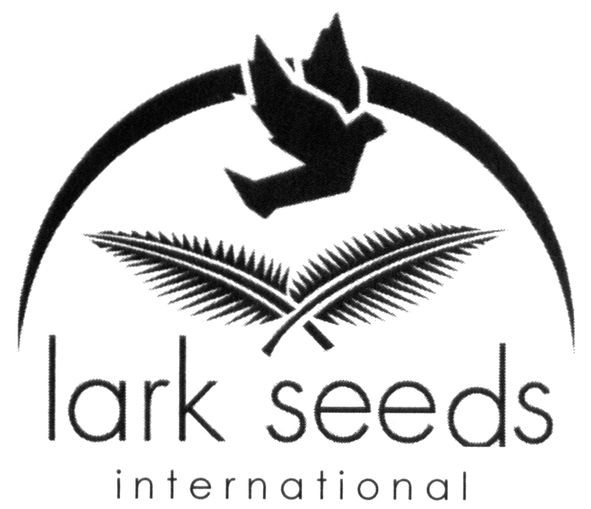 lark seeds international