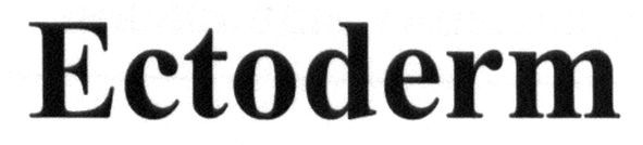 ectoderm