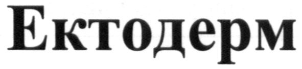 ектодерм