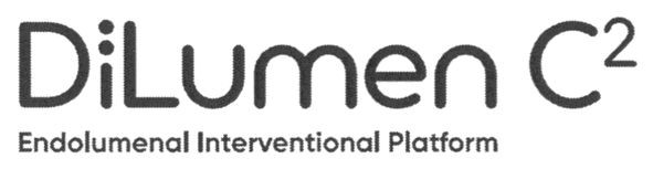 endolumenal interventional platform