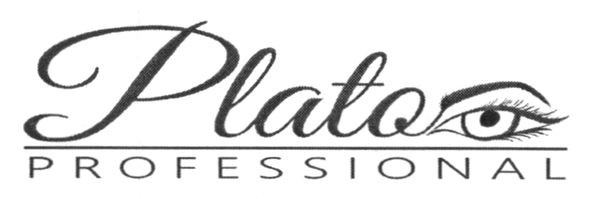 plato professional