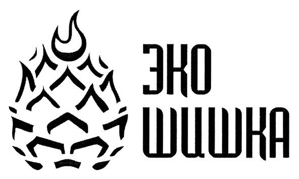 эко шишка