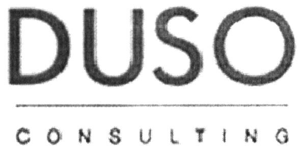 duso consulting