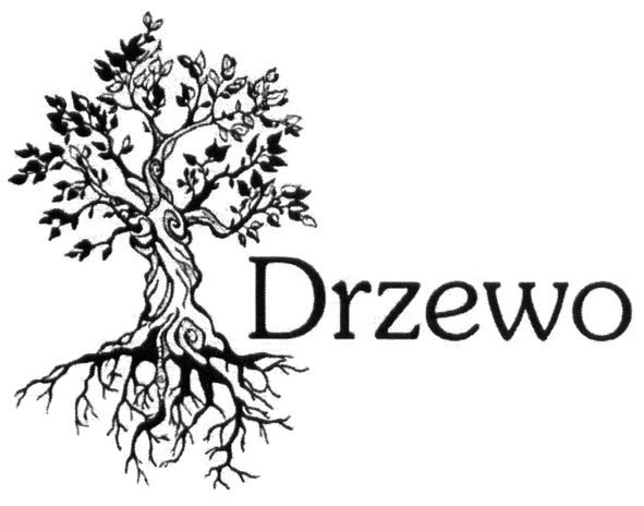 drzewo