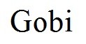 gobi