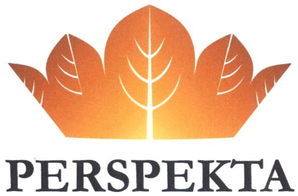 perspekta