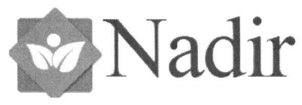 nadir