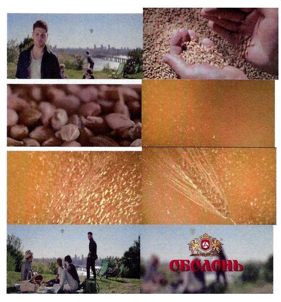 оболонь