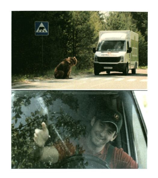 закарпатське