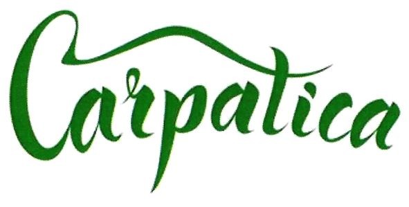 carpatica