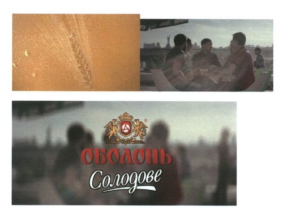 оболонь солодове