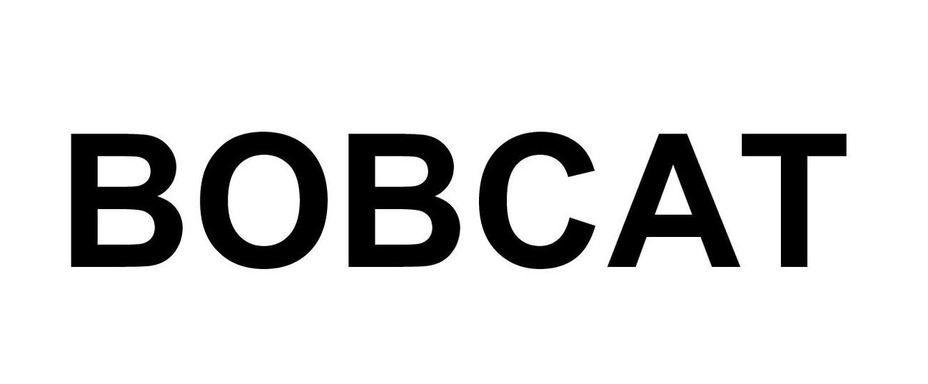 bobcat