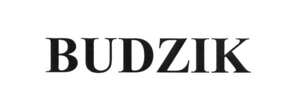 budzik