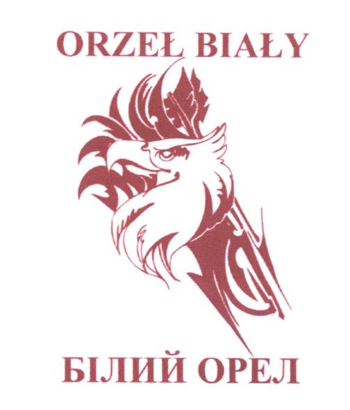 orzel bialy