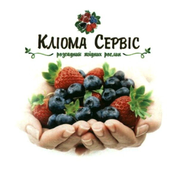 разсадник ягідних рослин