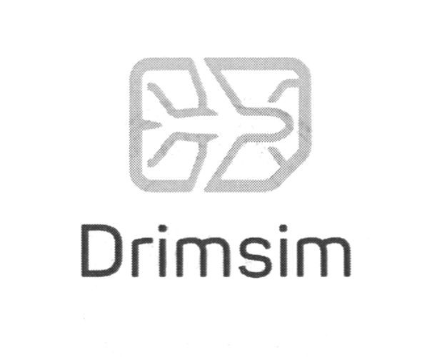 drimsim