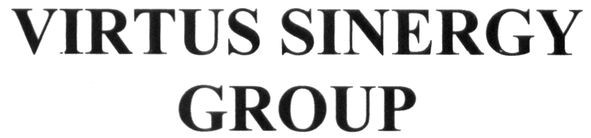 virtus sinergy group