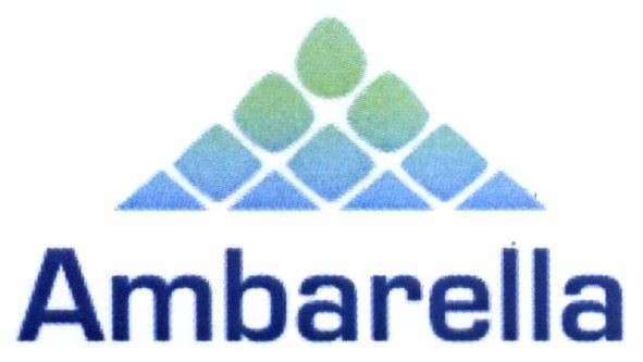 ambarella