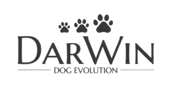dog evolution