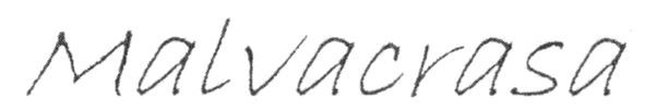 malvacrasa