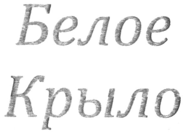 белое крыло