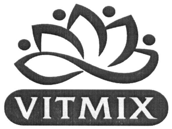 vitmix