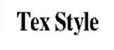 tex style