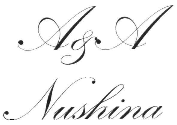 a&a nushina