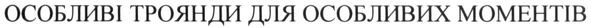 особливі троянди для особливих моментів