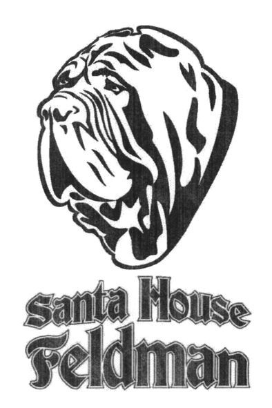 santa house feldman