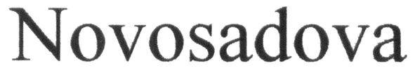 novosadova