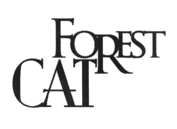 forest cat