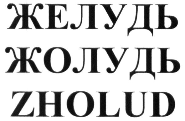 желудь