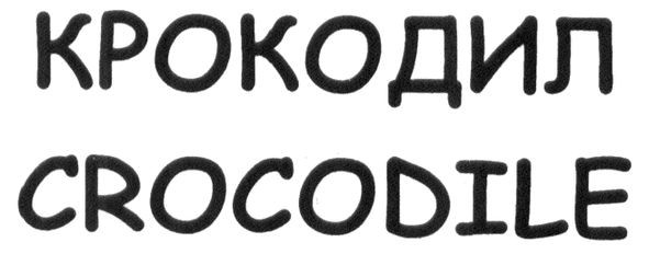 crocodile