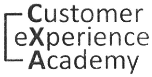 customer experience academy