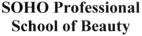 soho professional school of beauty
