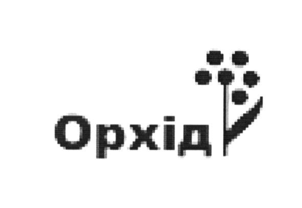 орхід
