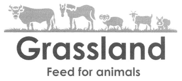 grassland feed for animals