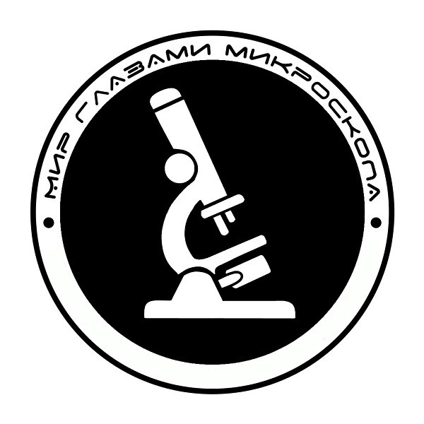 мир глазами микроскопа