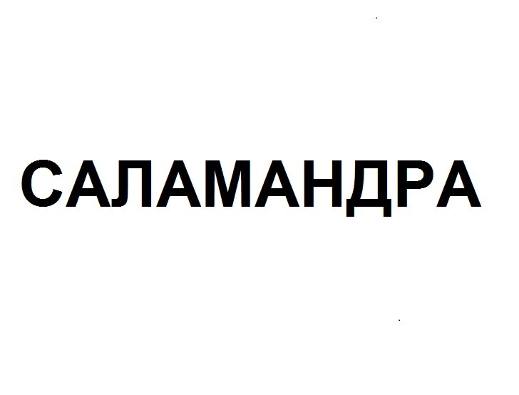 саламандра