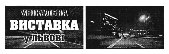 унікальна виставка у львові