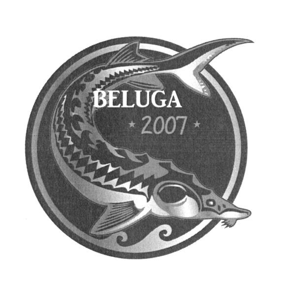 beluga