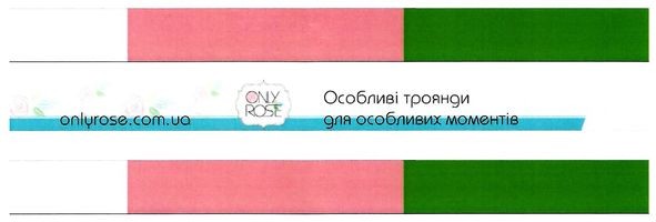 особливі троянди для особливих моментів