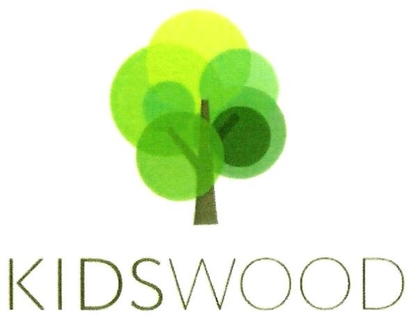 kids wood