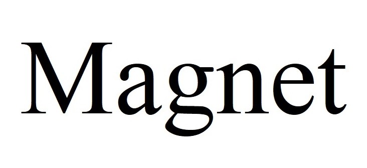 magnet