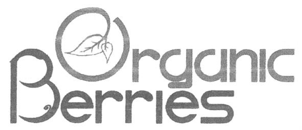 organic berries
